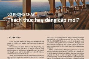 go-khong-chay-thach-thuc-hay-dang-cap-moi